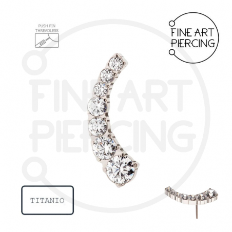 Top Larisa con circonitas en titanio