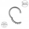 Piercing aro clicker con circonitas, disponible en 1.0 mm y 1.2 mm de grosor