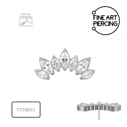 Top Celia titanio push pin